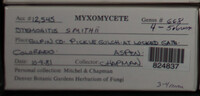 Image Associated With the Occurence